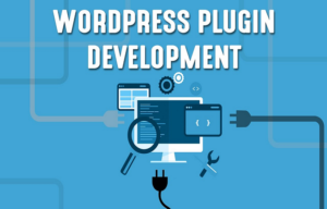 Accessibe WordPress Plugin