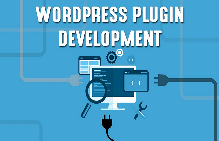 Get Effective Solutions with The Accessibe WordPress Plugin